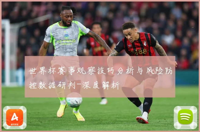 世界杯赛事观察技巧分析与风险防控数据研判-深度解析